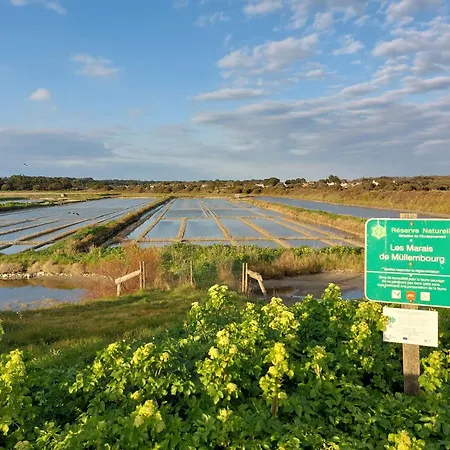 Charme De La Grande Bosse By Interhome