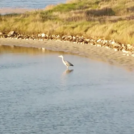 Charme De La Grande Bosse By Interhome Vakantiehuis